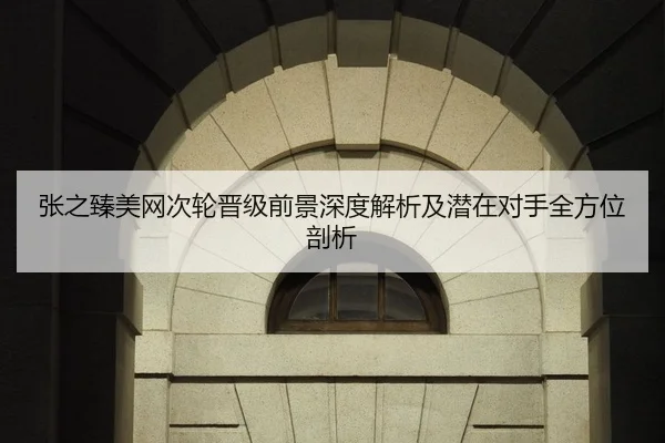 张之臻美网次轮晋级前景深度解析及潜在对手全方位剖析