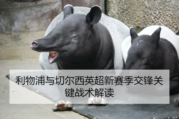 利物浦与切尔西英超新赛季交锋关键战术解读